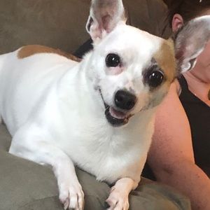 Meet your Posher, Dan